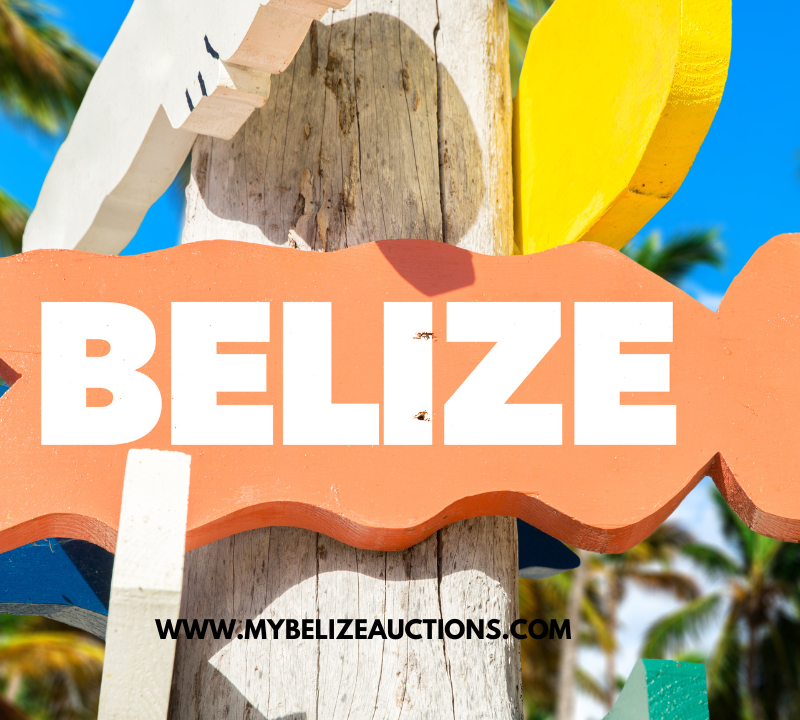 real estate belize